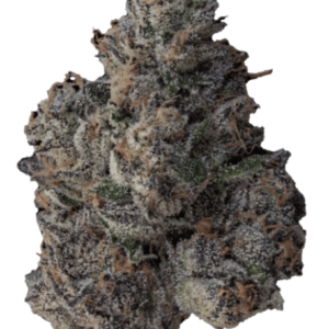 Apple fritter