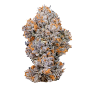 Gelato biscotti