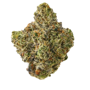Lemon cherry gelato
